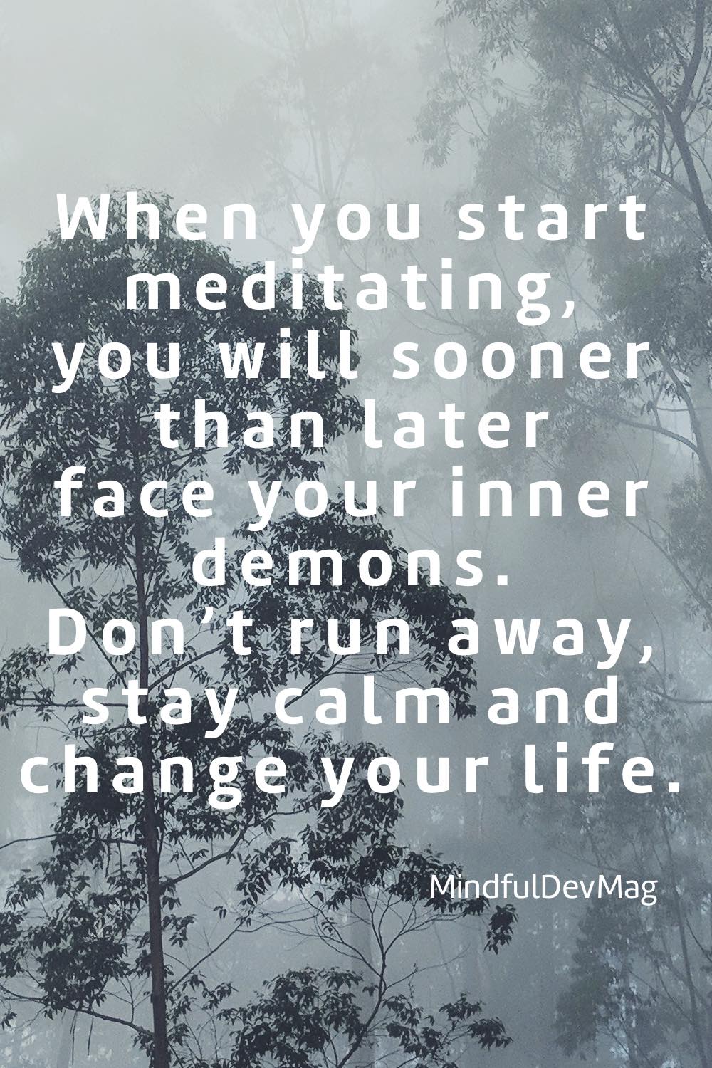 Mindful quote: When you start meditating,
you will sooner than later 
face your inner demons. 
Don’t run away, stay calm and change your life. - MindfuleDevMag